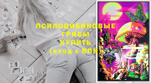 2c-b Алексеевка