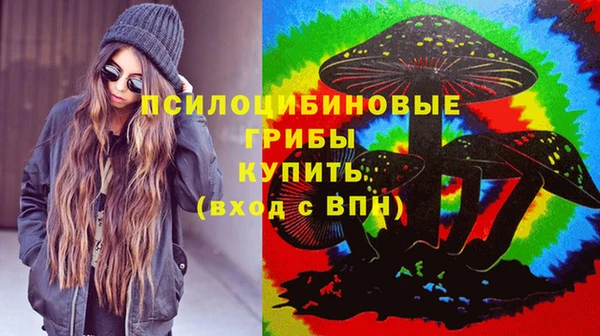 молекула духа Алзамай