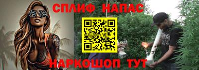 стаф Бердск